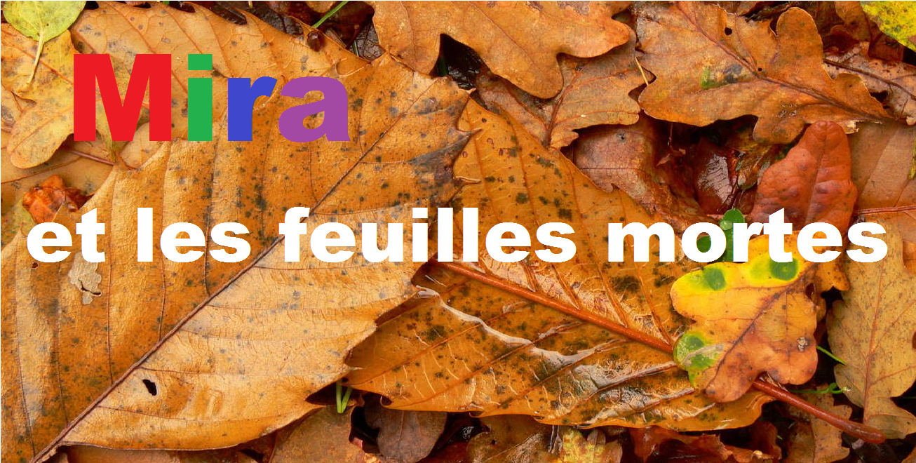 Mira et les feuilles mortes